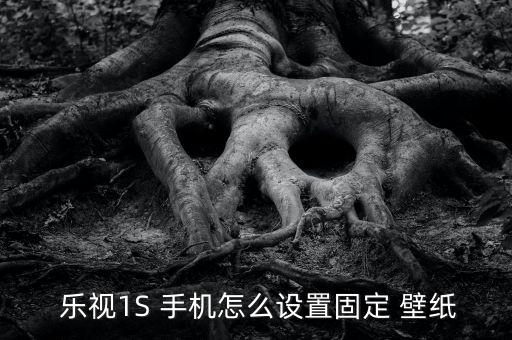  樂視1S 手機怎么設(shè)置固定 壁紙