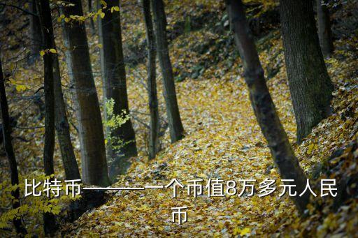  比特幣———一個(gè)幣值8萬(wàn)多元人民幣
