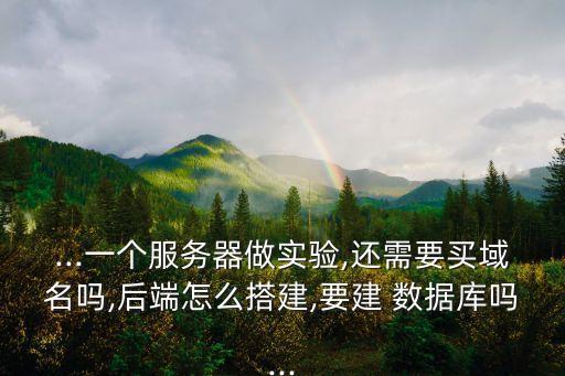 ...一個服務(wù)器做實(shí)驗(yàn),還需要買域名嗎,后端怎么搭建,要建 數(shù)據(jù)庫嗎...