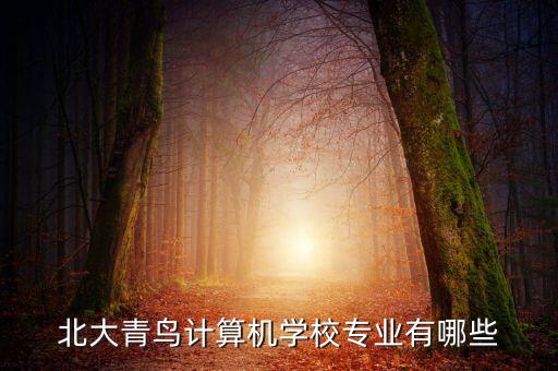 北大青鳥計算機(jī)學(xué)校專業(yè)有哪些