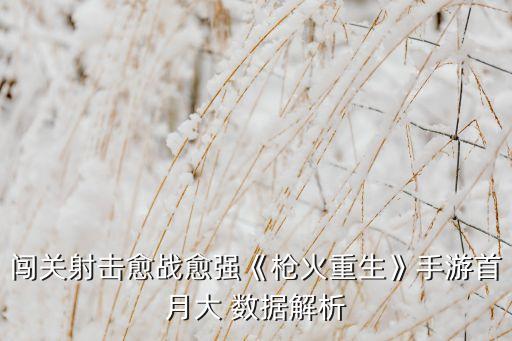 愛(ài)夢(mèng)娛樂(lè)大數(shù)據(jù),大數(shù)據(jù)娛樂(lè)2