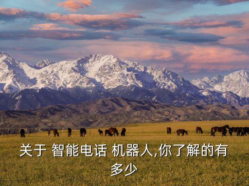 關(guān)于 智能電話(huà) 機(jī)器人,你了解的有多少