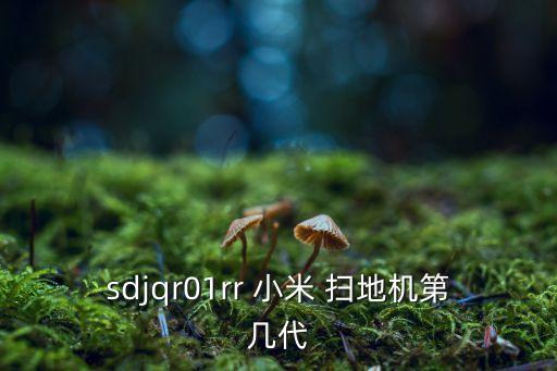 sdjqr01rr 小米 掃地機第幾代