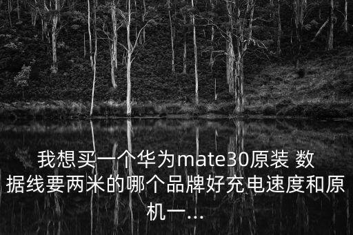 我想買一個(gè)華為mate30原裝 數(shù)據(jù)線要兩米的哪個(gè)品牌好充電速度和原機(jī)一...