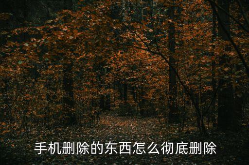 手機清理數(shù)據(jù)怎么清理掉,華為手機清理應用數(shù)據(jù)可以清理么