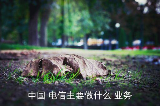 中國(guó) 電信主要做什么 業(yè)務(wù)