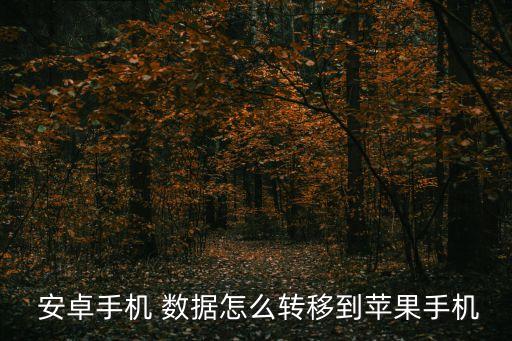  安卓手機(jī) 數(shù)據(jù)怎么轉(zhuǎn)移到蘋果手機(jī)