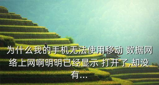 為什么我的手機(jī)無法使用移動(dòng) 數(shù)據(jù)網(wǎng)絡(luò)上網(wǎng)啊明明已經(jīng)顯示 打開了,卻沒有...