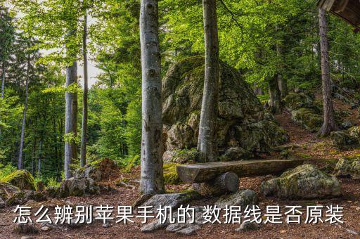 怎么辨別蘋果手機(jī)的 數(shù)據(jù)線是否原裝
