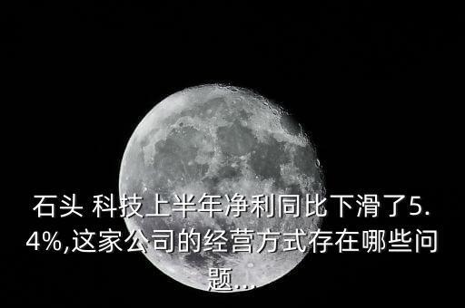 石頭 科技上半年凈利同比下滑了5.4%,這家公司的經(jīng)營方式存在哪些問題...
