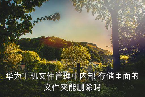 華為手機(jī)文件管理中內(nèi)部 存儲里面的文件夾能刪除嗎