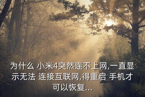 為什么 小米4突然連不上網(wǎng),一直顯示無(wú)法 連接互聯(lián)網(wǎng),得重啟 手機(jī)才可以恢復(fù)...