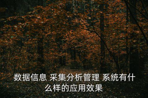  數(shù)據(jù)信息 采集分析管理 系統(tǒng)有什么樣的應(yīng)用效果