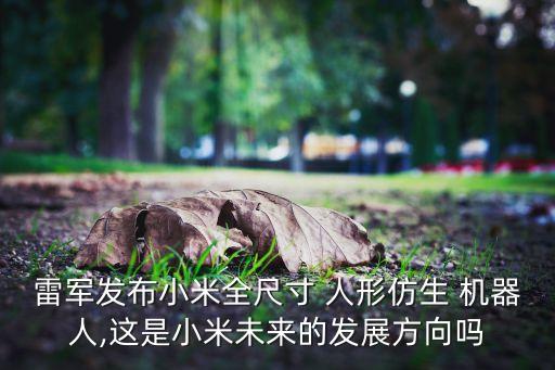 人形機(jī)器人新品面市,中國(guó)最先進(jìn)的人形機(jī)器人