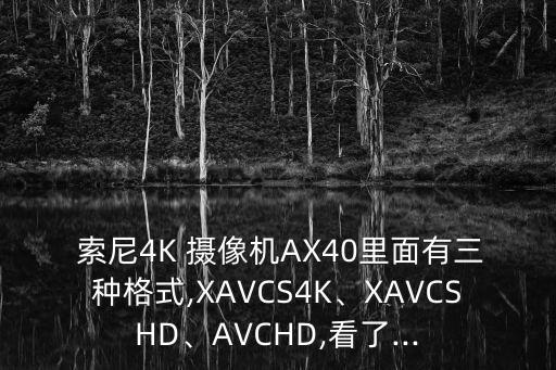  索尼4K 攝像機AX40里面有三種格式,XAVCS4K、XAVCSHD、AVCHD,看了...