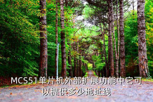 MCS51單片機外部擴展功能中它可以提供多少地址線