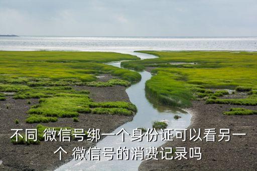 用微信支付數(shù)據(jù),微信支付數(shù)據(jù)刪除了怎么恢復