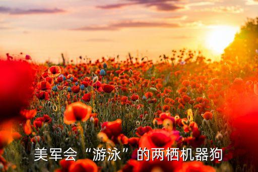 美軍會(huì)“游泳”的兩棲機(jī)器狗