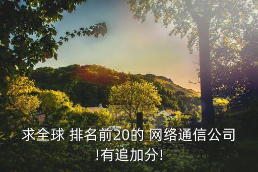 求全球 排名前20的 網(wǎng)絡(luò)通信公司!有追加分!