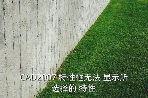 CAD2007 特性框無法 顯示所選擇的 特性