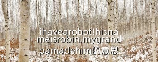 ihavearobot!hisnameisrobin.mygrandpamadehim的意思