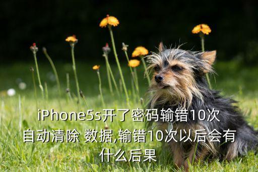 iPhone5s開了密碼輸錯(cuò)10次自動(dòng)清除 數(shù)據(jù),輸錯(cuò)10次以后會(huì)有什么后果