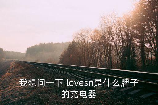 我想問一下 lovesn是什么牌子的充電器