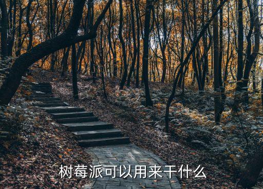  樹(shù)莓派可以用來(lái)干什么