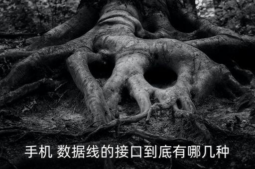 手機(jī) 數(shù)據(jù)線的接口到底有哪幾種