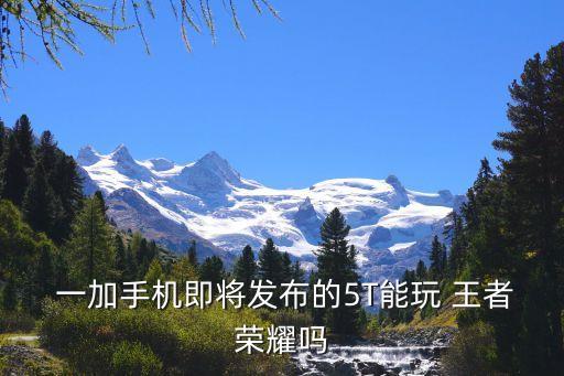  一加手機即將發(fā)布的5T能玩 王者榮耀嗎