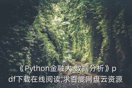 《Python金融大 數(shù)據(jù)分析》pdf下載在線閱讀,求百度網(wǎng)盤云資源