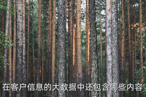 在客戶信息的大數(shù)據(jù)中還包含哪些內(nèi)容