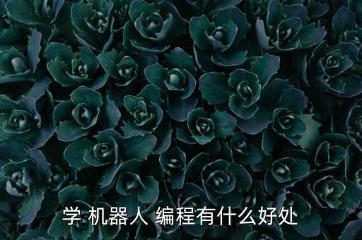 學(xué) 機器人 編程有什么好處
