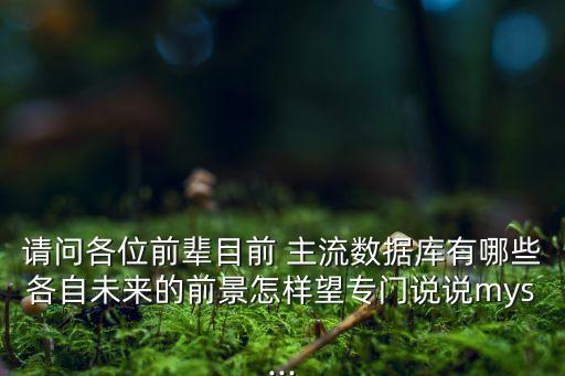 請(qǐng)問(wèn)各位前輩目前 主流數(shù)據(jù)庫(kù)有哪些各自未來(lái)的前景怎樣望專門(mén)說(shuō)說(shuō)mys...