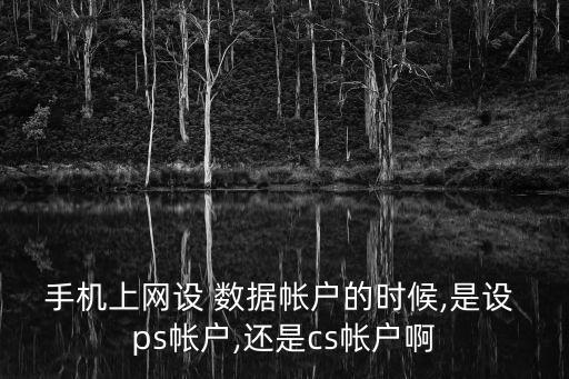 手機(jī)上網(wǎng)設(shè) 數(shù)據(jù)帳戶的時(shí)候,是設(shè) ps帳戶,還是cs帳戶啊