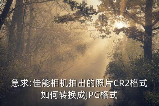 cr2 自動尺寸,CR2電池尺寸
