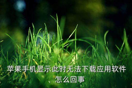  蘋果手機顯示此時無法下載應(yīng)用軟件、怎么回事