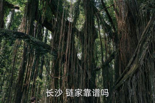 鏈家地產(chǎn) 大數(shù)據(jù)