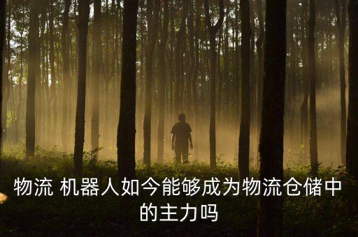 物流 機器人如今能夠成為物流倉儲中的主力嗎