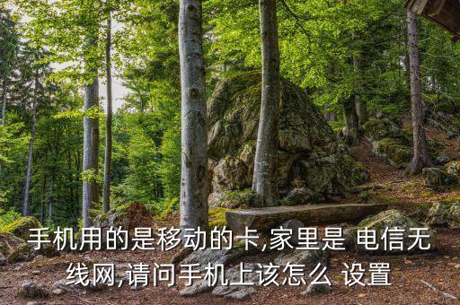 怎樣設(shè)置電信數(shù)據(jù)上網(wǎng),蘋果電信卡用不了數(shù)據(jù)上網(wǎng)