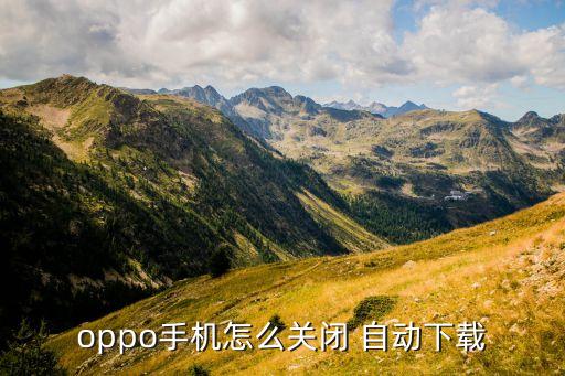 oppo手機怎么關(guān)閉 自動下載