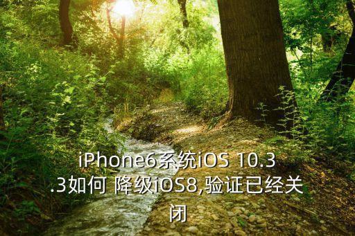 iPhone6系統(tǒng)iOS 10.3.3如何 降級(jí)iOS8,驗(yàn)證已經(jīng)關(guān)閉