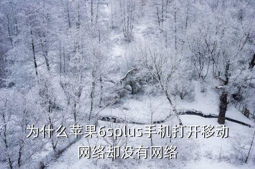 iphone6plus沒(méi)蜂窩數(shù)據(jù)