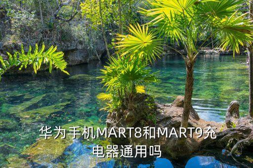 華為mate8數(shù)據(jù)線 type,華為6a數(shù)據(jù)線