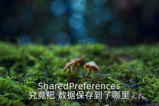 數(shù)據(jù)存儲(chǔ)位置在哪里,kafka數(shù)據(jù)存儲(chǔ)在哪里