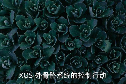 XOS 外骨骼系統(tǒng)的控制行動(dòng)
