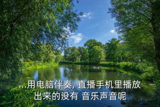 ...用電腦伴奏, 直播手機(jī)里播放出來的沒有 音樂聲音呢