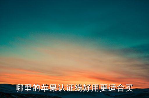 哪里的蘋果認證線好用更適合買