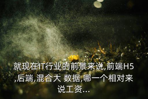 就現(xiàn)在IT行業(yè)的前景來說,前端H5,后端,混合大 數(shù)據(jù),哪一個相對來說工資...
