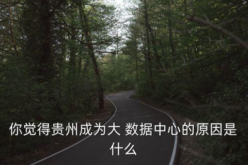 你覺得貴州成為大 數(shù)據(jù)中心的原因是什么